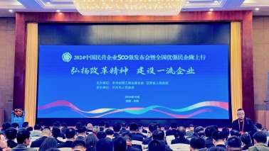 海王集團位列2024中國民營企業500強第240位，2024中國制造業民營企業500強第168位