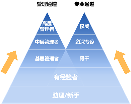 晉升雙通道發展機制_副本.png 晉升雙通道發展機制_副本.png